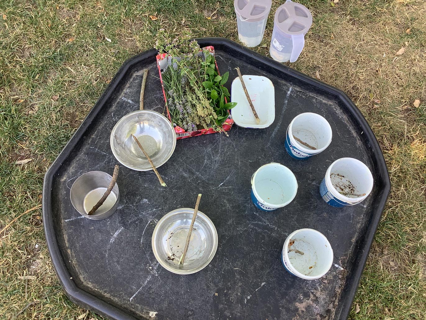 Outdoor nursery tray invitation set up with mixing pots, plant cuttings, and sticks for toddler potion making and botanical exploration.