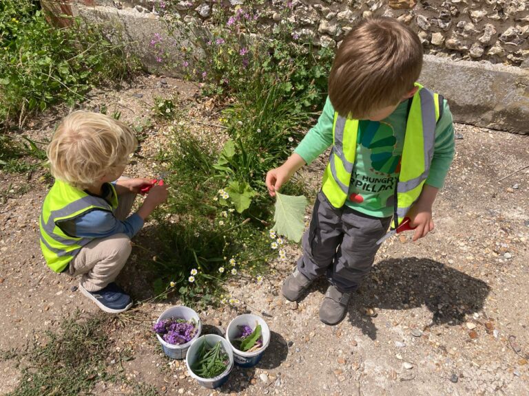 Early years toddlers wearing high-visibility vests using safety scissors to forage wild leaves and flowers into pots.