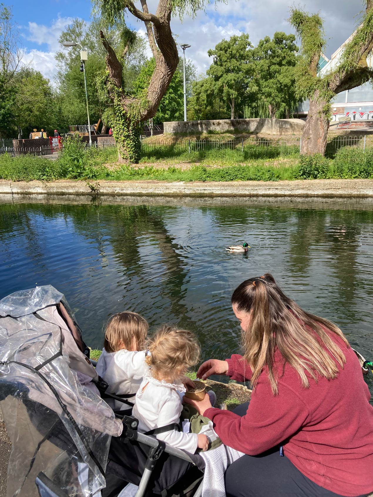 Nursery children feeding wild mallard ducks with an adult during a local park walk next to a canal.
