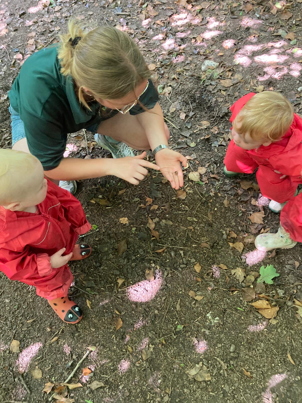 Forest school bug hunt
