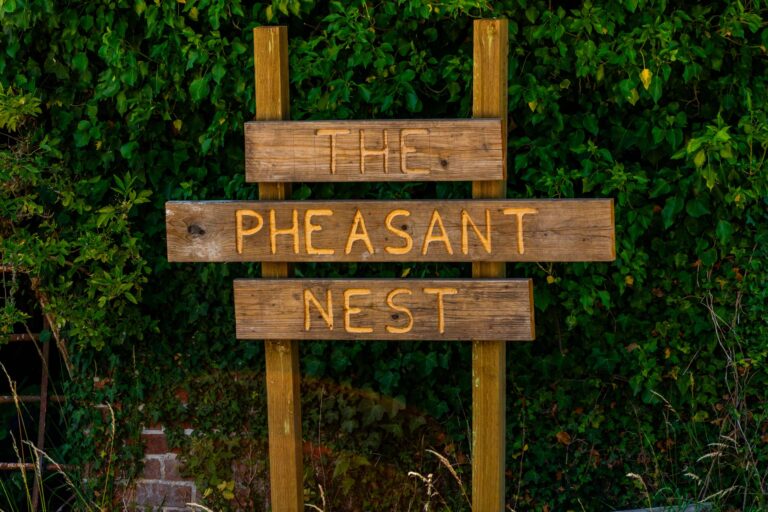 The Pheasant Nest