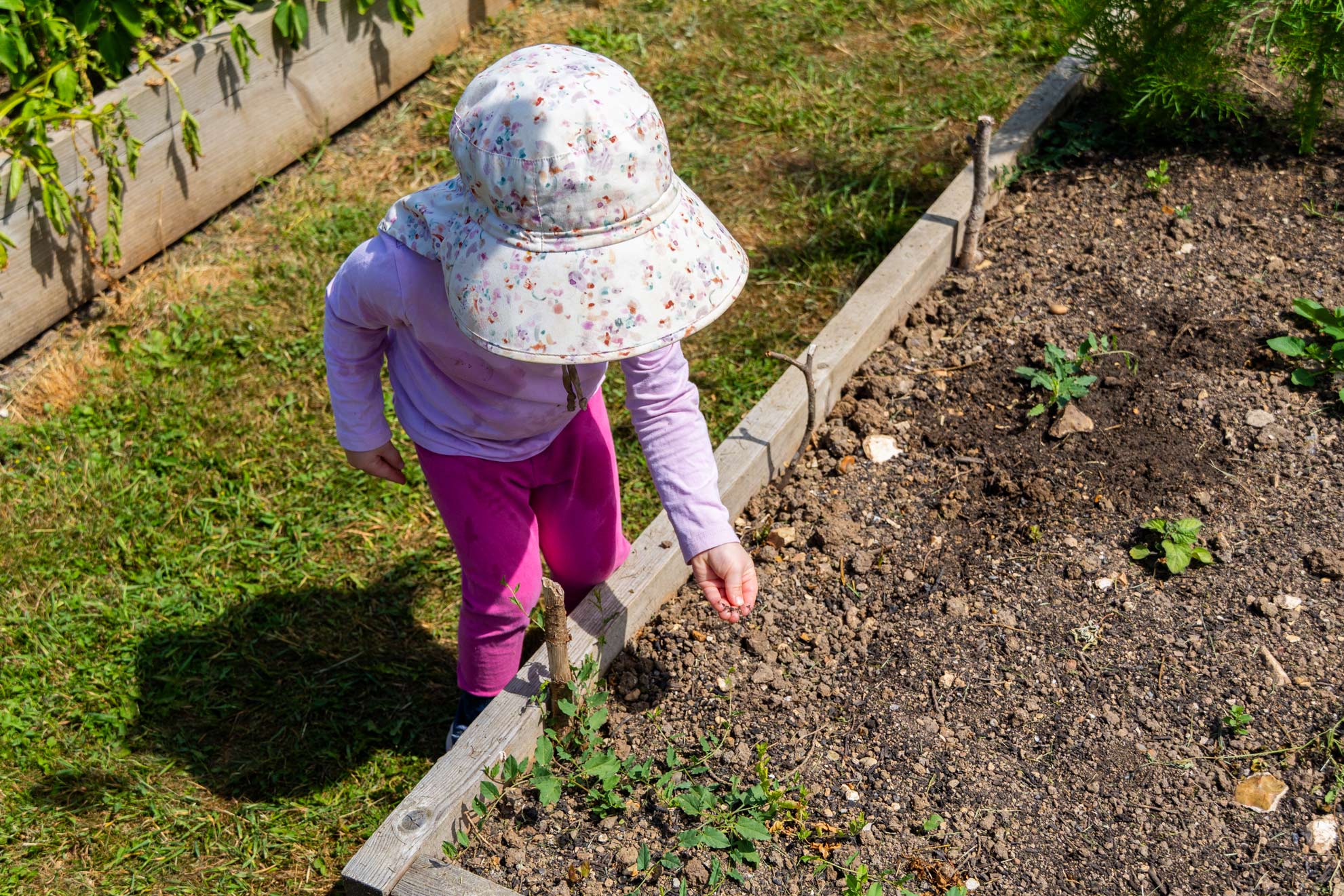 Gardening