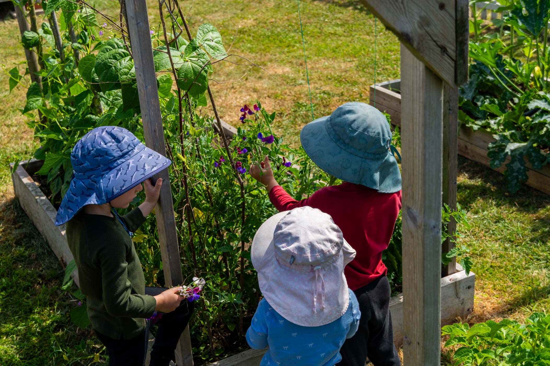 Gardening at the Pheasant Nest